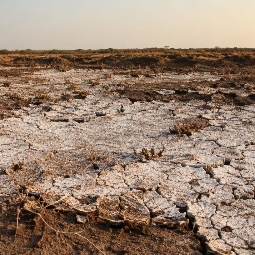 Suelos salinizados, erosionados o degradados